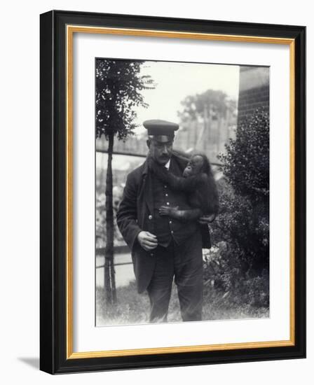 Keeper Z. Rodwell Holding Young Orangutan at London Zoo, October 1913-Frederick William Bond-Framed Photographic Print