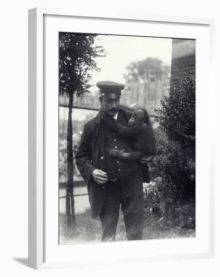 Keeper Z. Rodwell Holding Young Orangutan at London Zoo, October 1913-Frederick William Bond-Framed Photographic Print