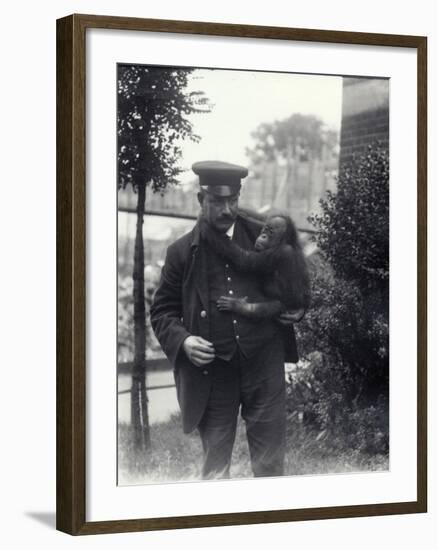 Keeper Z. Rodwell Holding Young Orangutan at London Zoo, October 1913-Frederick William Bond-Framed Photographic Print