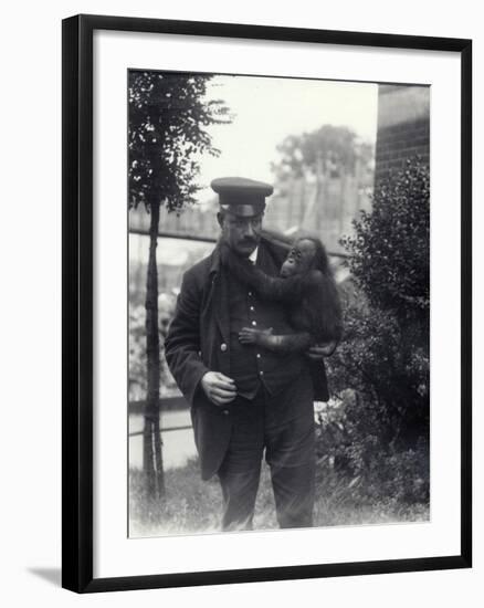 Keeper Z. Rodwell Holding Young Orangutan at London Zoo, October 1913-Frederick William Bond-Framed Photographic Print