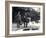 Keepers Alf Taylor (Right) and Bodman (Left) Feeding Fish to Pelicans at Poolside in London Zoo-Frederick William Bond-Framed Photographic Print