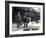 Keepers Alf Taylor (Right) and Bodman (Left) Feeding Fish to Pelicans at Poolside in London Zoo-Frederick William Bond-Framed Photographic Print