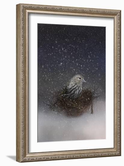 Keeping Warm in My Nest-Jai Johnson-Framed Giclee Print