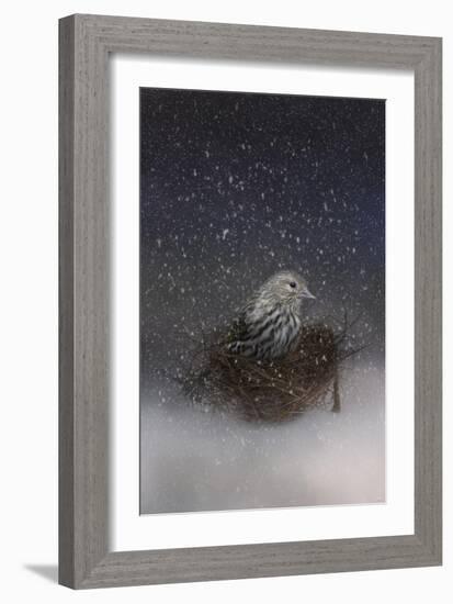 Keeping Warm in My Nest-Jai Johnson-Framed Giclee Print