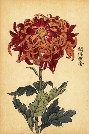 Amazon.com: Leather Stamping Tool, 5-Petal Oval Flower