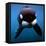 Keiko the Killer Whale-null-Framed Premier Image Canvas