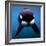 Keiko the Killer Whale-null-Framed Photographic Print