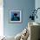Keiko the Killer Whale-null-Framed Photographic Print displayed on a wall