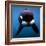 Keiko the Killer Whale-null-Framed Photographic Print