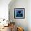 Keiko the Killer Whale-null-Framed Photographic Print displayed on a wall