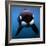 Keiko the Killer Whale-null-Framed Photographic Print