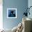 Keiko the Killer Whale-null-Framed Photographic Print displayed on a wall