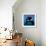 Keiko the Killer Whale-null-Framed Photographic Print displayed on a wall