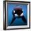 Keiko the Killer Whale-null-Framed Photographic Print