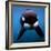 Keiko the Killer Whale-null-Framed Photographic Print