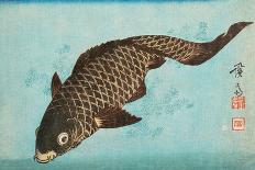 Koi, Pub.1842 (Colour Woodblock Print)-Keisai (1790-1848) Eisen-Premier Image Canvas