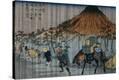 Stretched Canvas Print