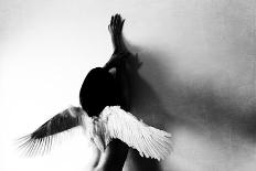 Broken Wing-Keisuke Ikeda @-Mounted Photographic Print