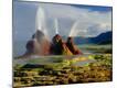 Photographic Print