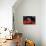 Keith Moon Red Drums-null-Premium Giclee Print displayed on a wall