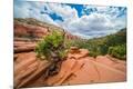 Photographic Print