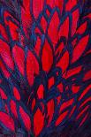 Beautiful Abstract Background Consisting of Red Hen Saddle Feathers-Keith Publicover-Premier Image Canvas