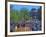 Keizersgracht, Amsterdam, Netherlands-Neil Farrin-Framed Premium Photographic Print