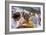 Keke Rosberg at the British Grand Prix, Brands Hatch, Kent, 1982-null-Framed Photographic Print