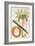 Kelapa or Coconut Palm-Porter Design-Framed Giclee Print