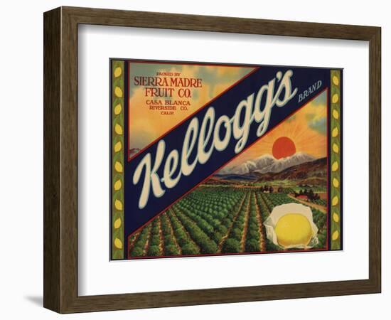 Kelloggs Brand - Casa Blanca, California - Citrus Crate Label-Lantern Press-Framed Art Print