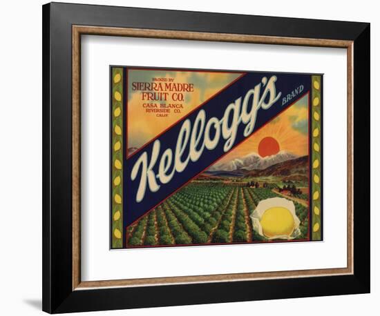 Kelloggs Brand - Casa Blanca, California - Citrus Crate Label-Lantern Press-Framed Art Print