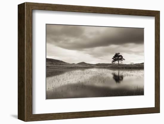 Kelly Hall Tarn at Twilight, Lake District, Cumbria, England. Autumn (November)-Adam Burton-Framed Photographic Print