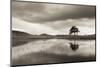 Kelly Hall Tarn at Twilight, Lake District, Cumbria, England. Autumn (November)-Adam Burton-Mounted Photographic Print