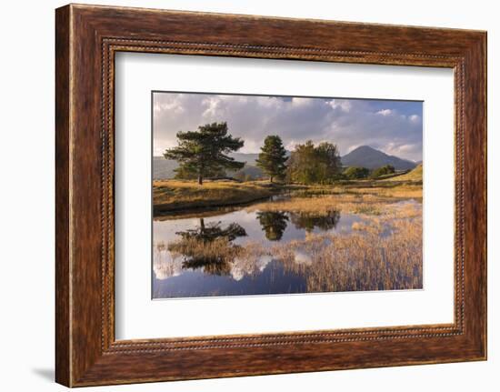 Kelly Hall Tarn, late evening light, Lake District, Cumbria, UK-Ross Hoddinott-Framed Photographic Print