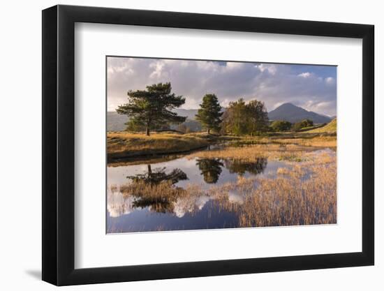 Kelly Hall Tarn, late evening light, Lake District, Cumbria, UK-Ross Hoddinott-Framed Photographic Print
