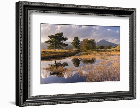 Kelly Hall Tarn, late evening light, Lake District, Cumbria, UK-Ross Hoddinott-Framed Photographic Print