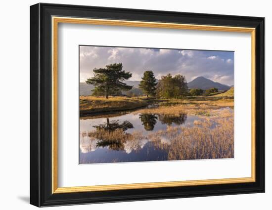 Kelly Hall Tarn, late evening light, Lake District, Cumbria, UK-Ross Hoddinott-Framed Photographic Print