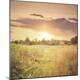 Premium Photographic Print