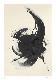 Collectable Print