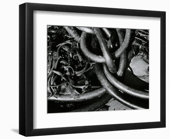 Kelp and Sand, 1977-Brett Weston-Framed Photographic Print