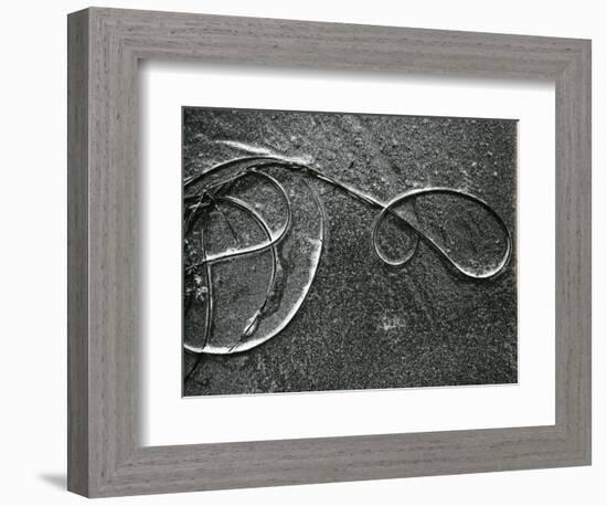 Kelp and Sand, c. 1965-Brett Weston-Framed Photographic Print