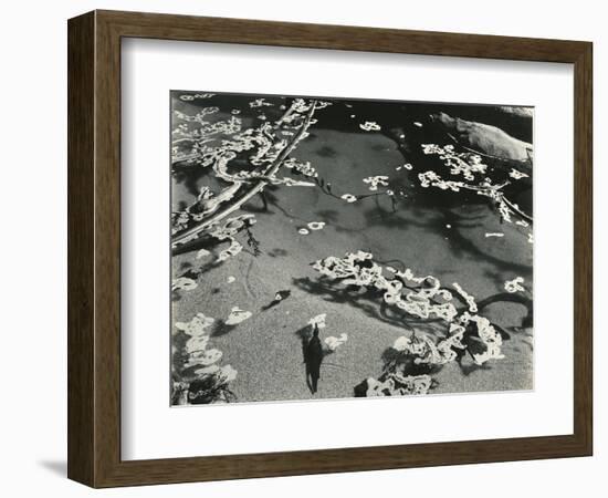 Kelp and Water, Garrapata, 1951-Brett Weston-Framed Photographic Print