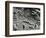 Kelp and Water, Garrapata, 1951-Brett Weston-Framed Photographic Print