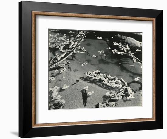 Kelp and Water, Garrapata, 1951-Brett Weston-Framed Photographic Print