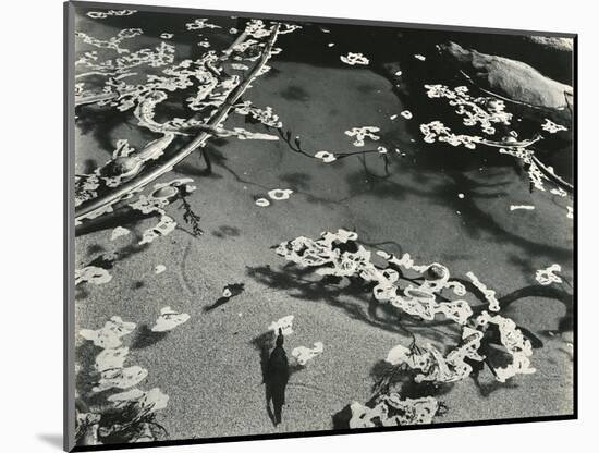 Kelp and Water, Garrapata, 1951-Brett Weston-Mounted Photographic Print