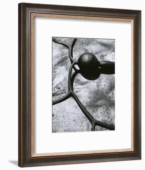 Kelp, Baja California, 1967-Brett Weston-Framed Photographic Print