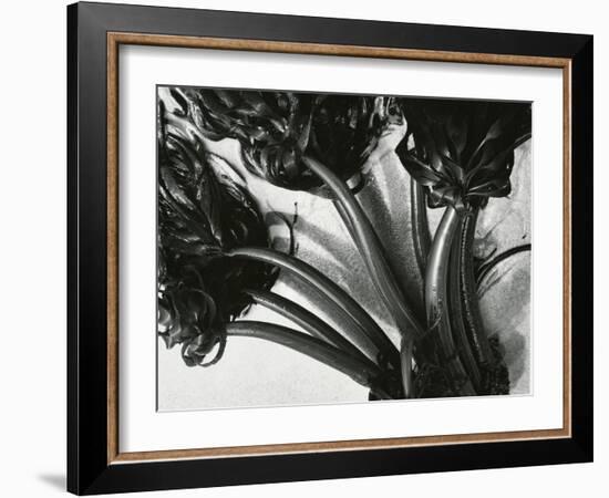 Kelp, c. 1965-Brett Weston-Framed Photographic Print