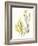 Kelp Collection II-June Vess-Framed Art Print