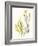 Kelp Collection II-June Vess-Framed Art Print