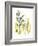 Kelp Collection III-June Vess-Framed Art Print